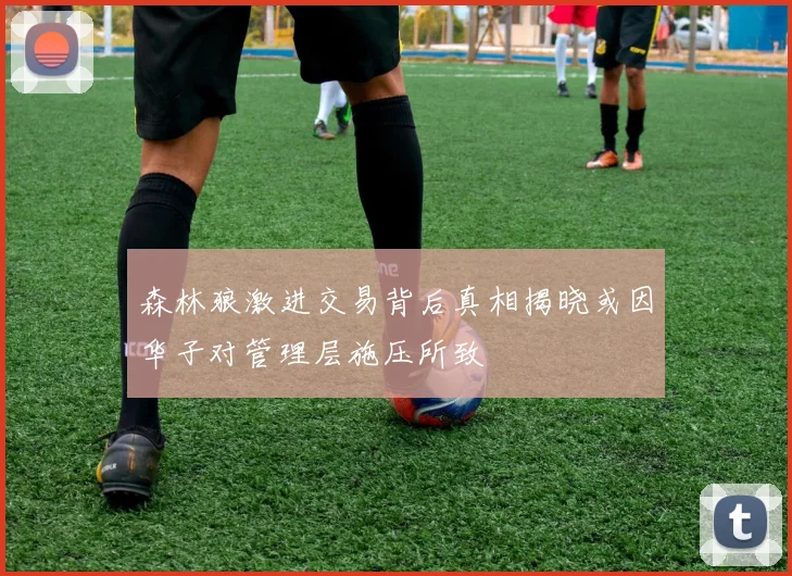 森林狼激进交易背后真相揭晓或因华子对管理层施压所致