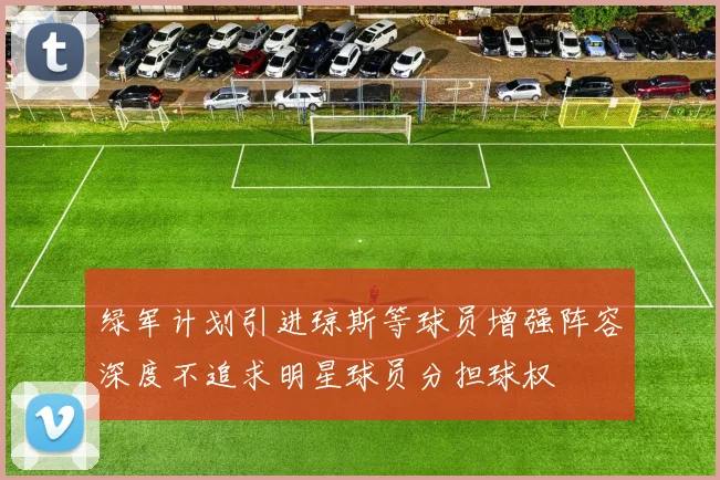 绿军计划引进琼斯等球员增强阵容深度不追求明星球员分担球权